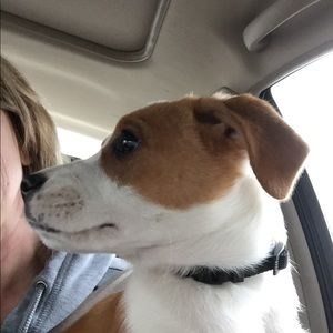 Meet your Posher, Cheryl